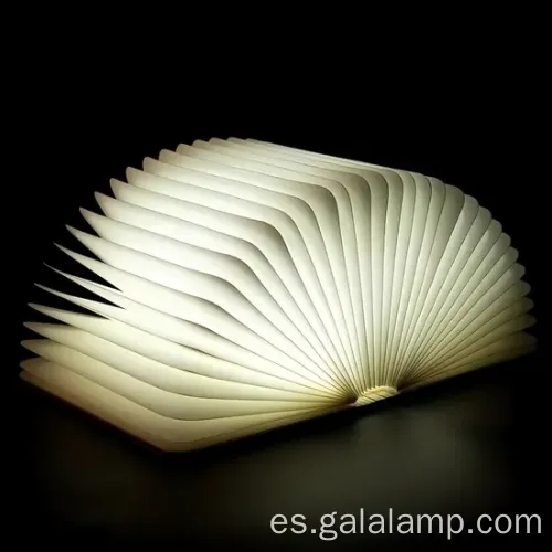 Luz de libro magnético portátil con carga USB